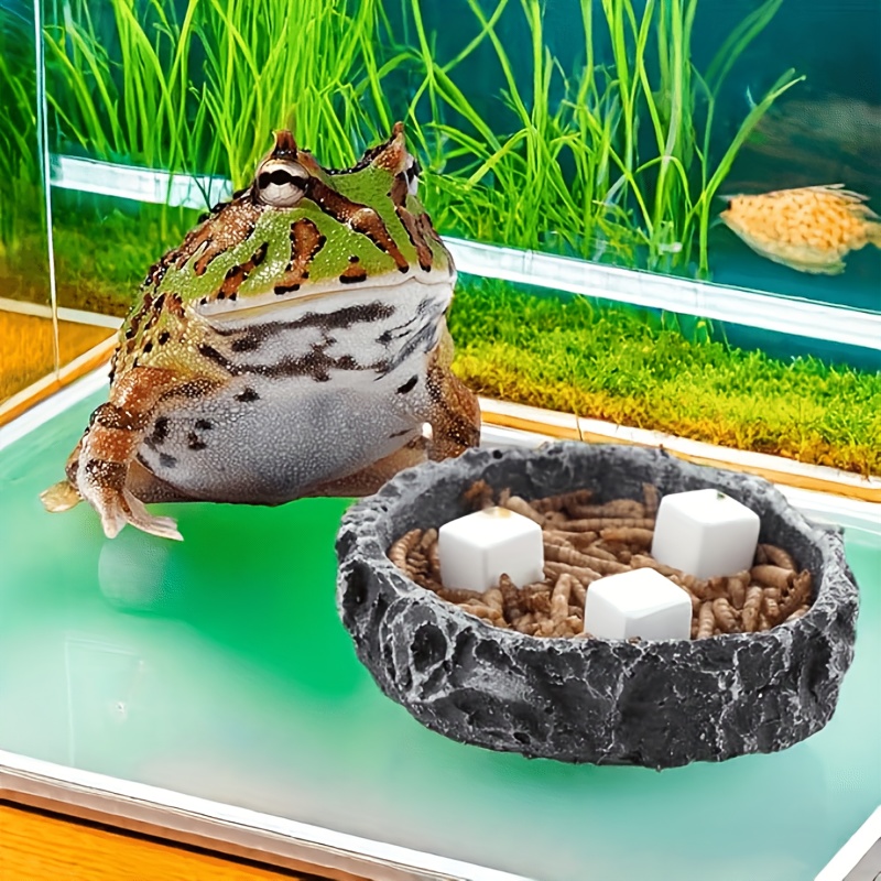 6Pcs For Reptile Grinding Tort - Calcium Powder Reptile recensione e prezzo