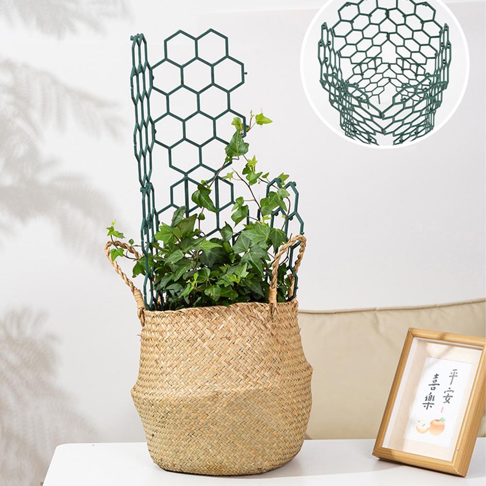 1/2/5Pcs Plastic Plant Support - Vine Climbing Plastic recensione e prezzo
