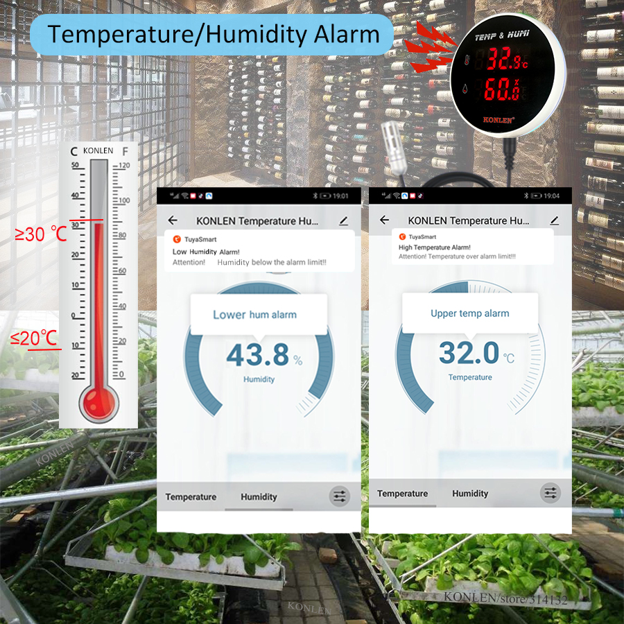 Tuya WIFI Temperature Humidity - Digital Hygrometer Probe recensione e prezzo