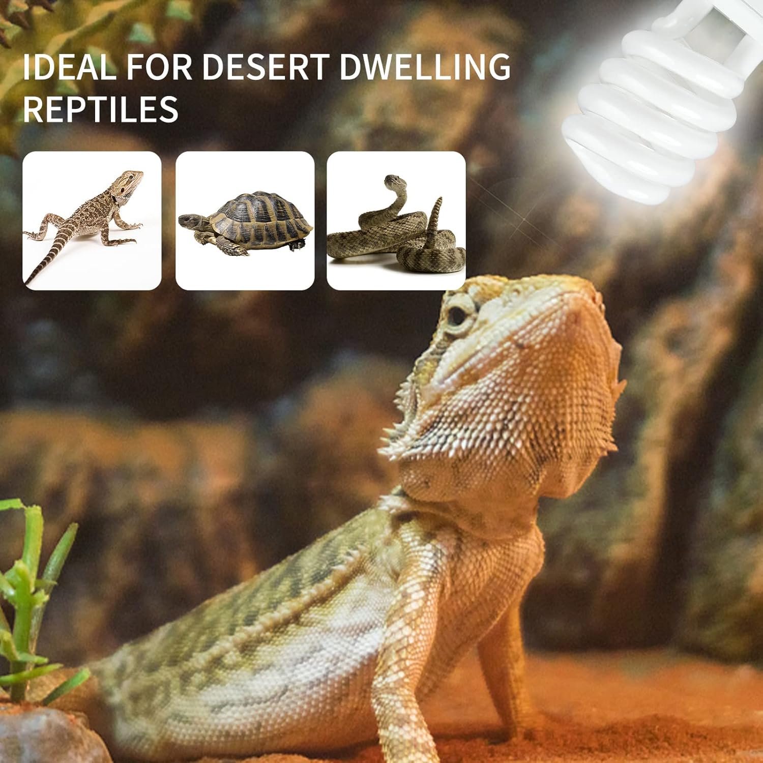 UVB 5.0 10.0 Reptile Heating L - Ceramic Heat Emitter recensione e prezzo