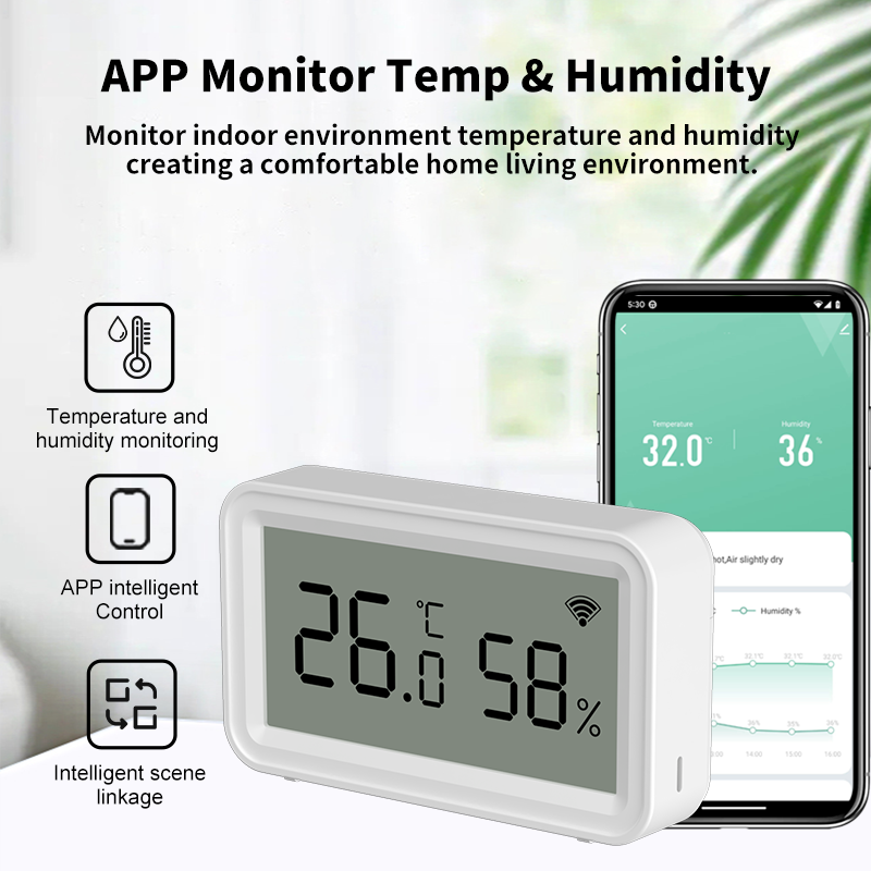Tuya Zigbee WiFi Thermometer H - Digital Hygrometer Probe recensione e prezzo