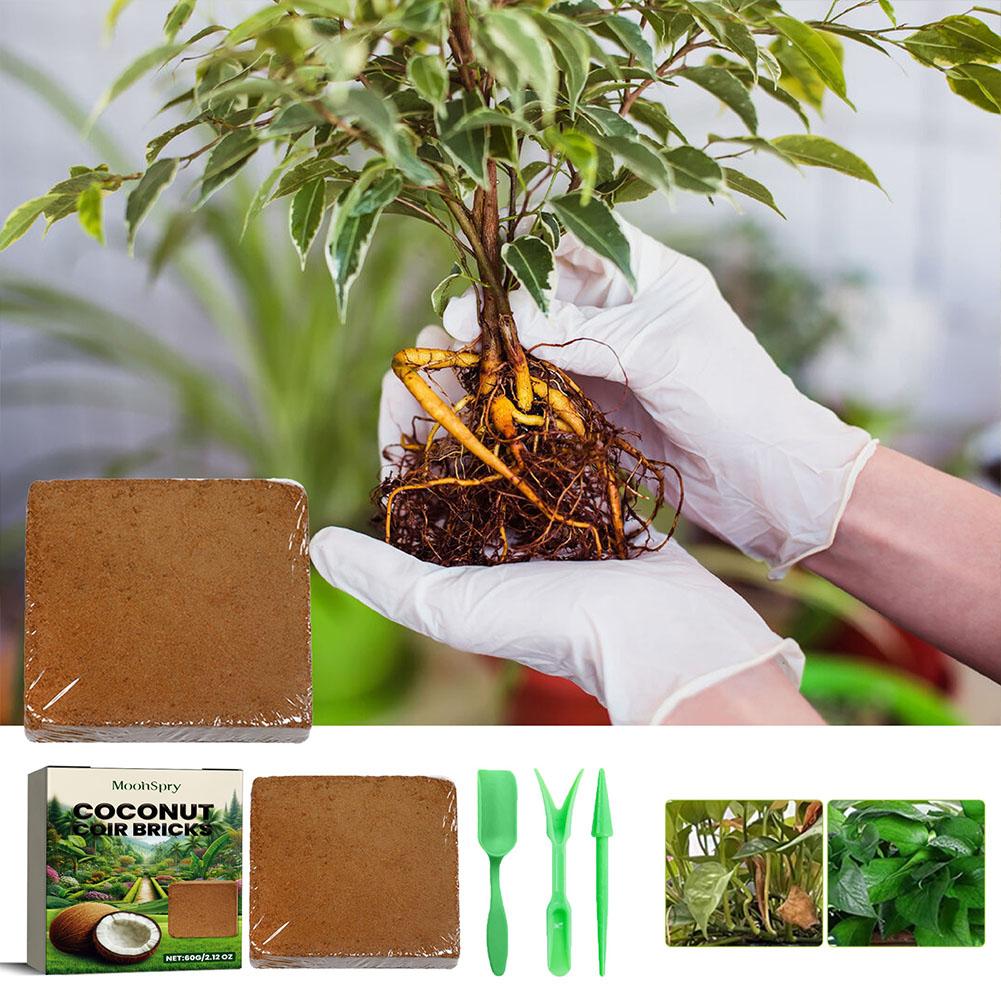 Reptile Coconut Soil Coir Pres - Substrate Coconut Fiber recensione e prezzo