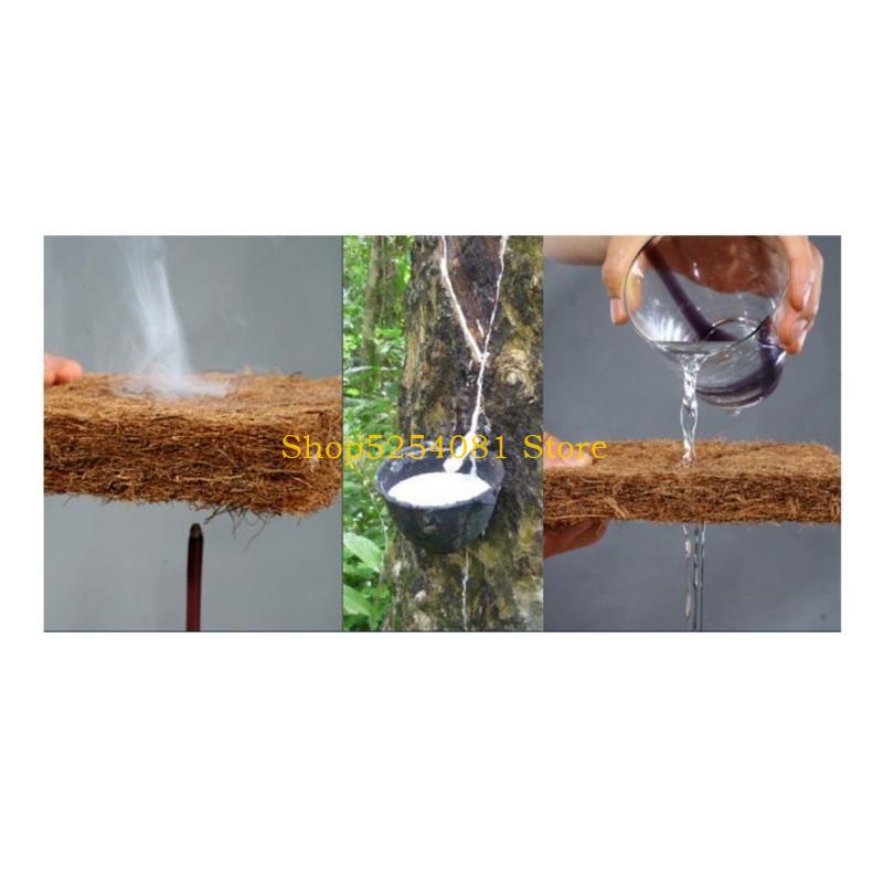 AXYC Reptiles Sleeping Mat Bed - Substrate Coconut Fiber recensione e prezzo