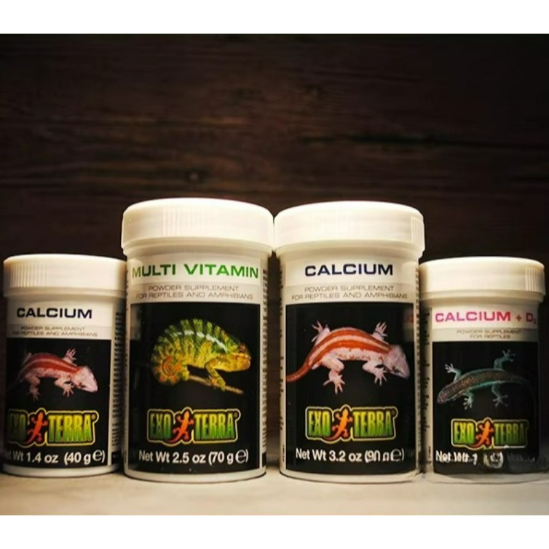 HAGEN Reptile Calcium Powder W - Vitamin D3 Reptile recensione e prezzo
