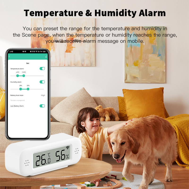 Tuya Zigbee 3.0 Mini Temperatu - Digital Hygrometer Probe recensione e prezzo