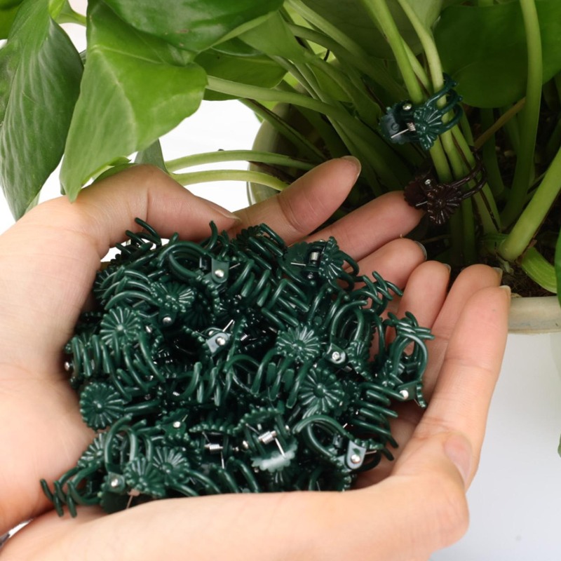 Wholesale Mini Plant Support C - Vine Climbing Plastic recensione e prezzo