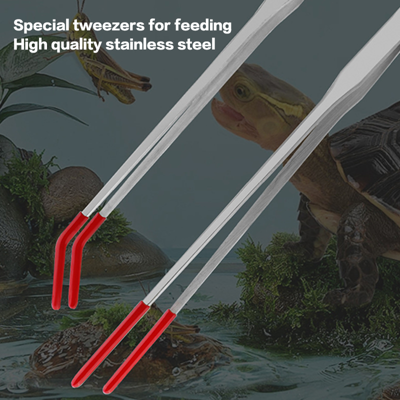 Stainless Steel Reptile With R - Feeding Tong Stainless recensione e prezzo