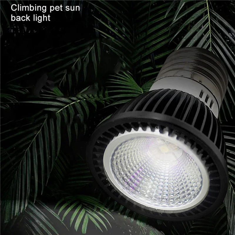 A03F-5X 110V Reptile UVB Light - Calcium Powder Reptile recensione e prezzo
