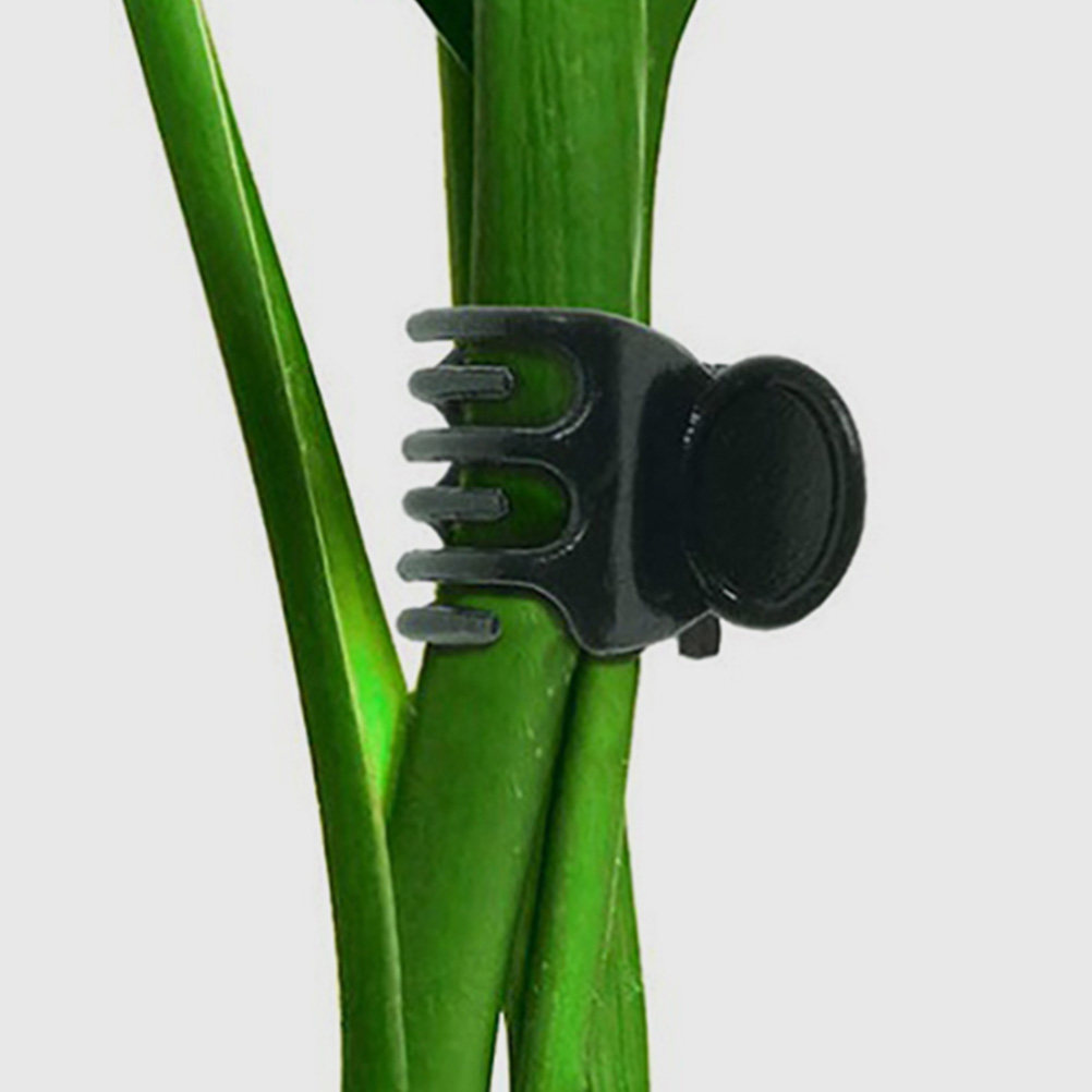 60Pcs Plastic Plant Clips Gard - Vine Climbing Plastic recensione e prezzo