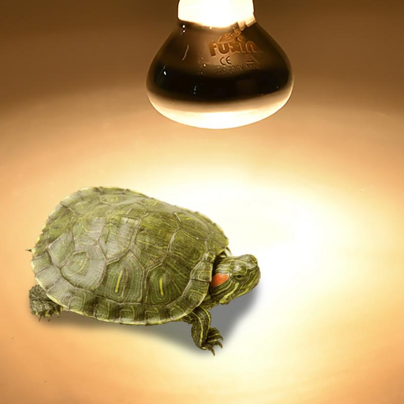 Pet Heating Lamp E27 Day Night - Ceramic Heat Emitter recensione e prezzo