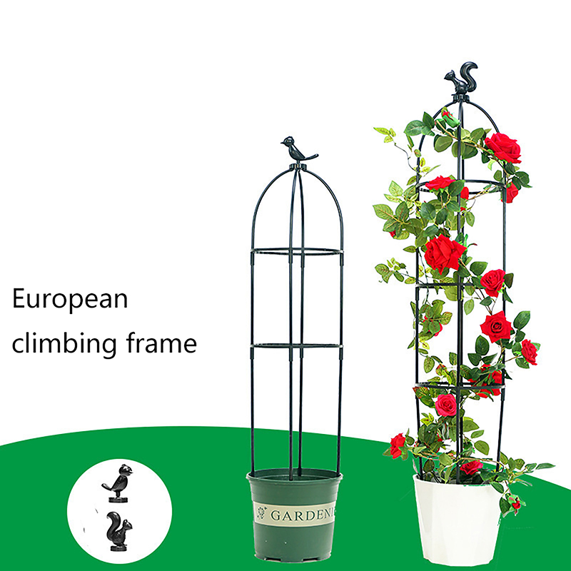 C 1Set Climbing Plant Trellis  - Vine Climbing Plastic recensione e prezzo