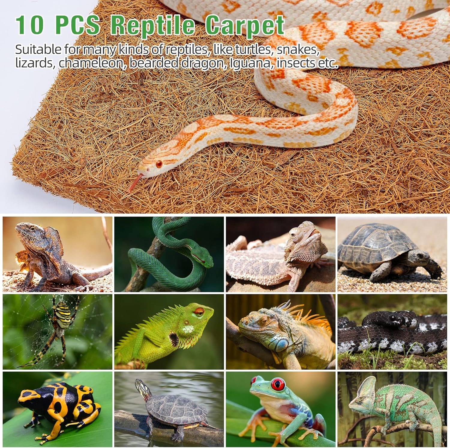 10 Pcs Reptile Carpet, 12x12 i - Substrate Coconut Fiber recensione e prezzo