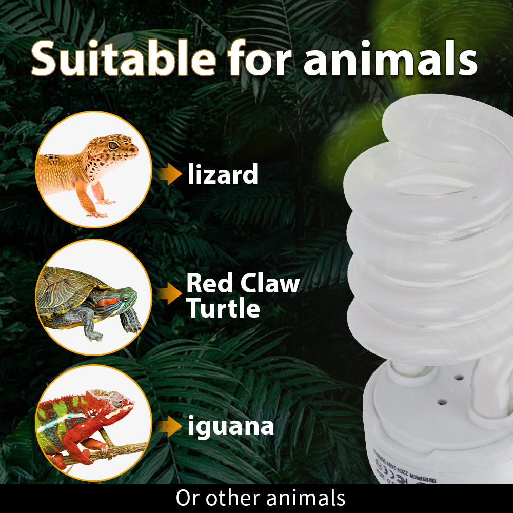 26W Pet Box Lamp Calcium Suppl - Calcium Powder Reptile recensione e prezzo