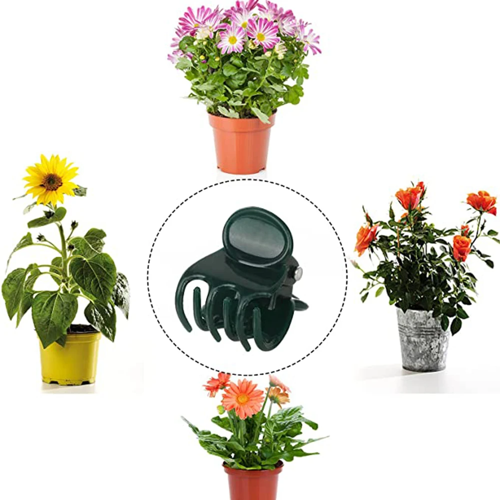Phalaenopsis Orchid Support Cl - Vine Climbing Plastic recensione e prezzo