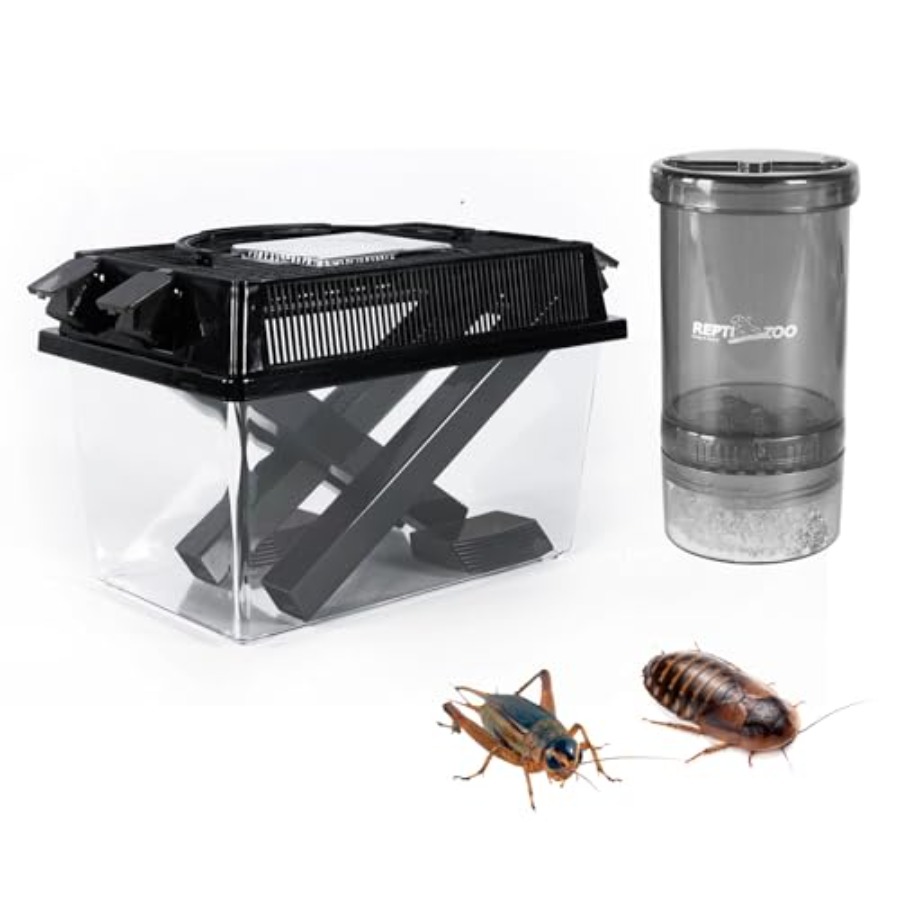 【Spot goods】Reptile Cricket Ke - Calcium Powder Reptile recensione e prezzo
