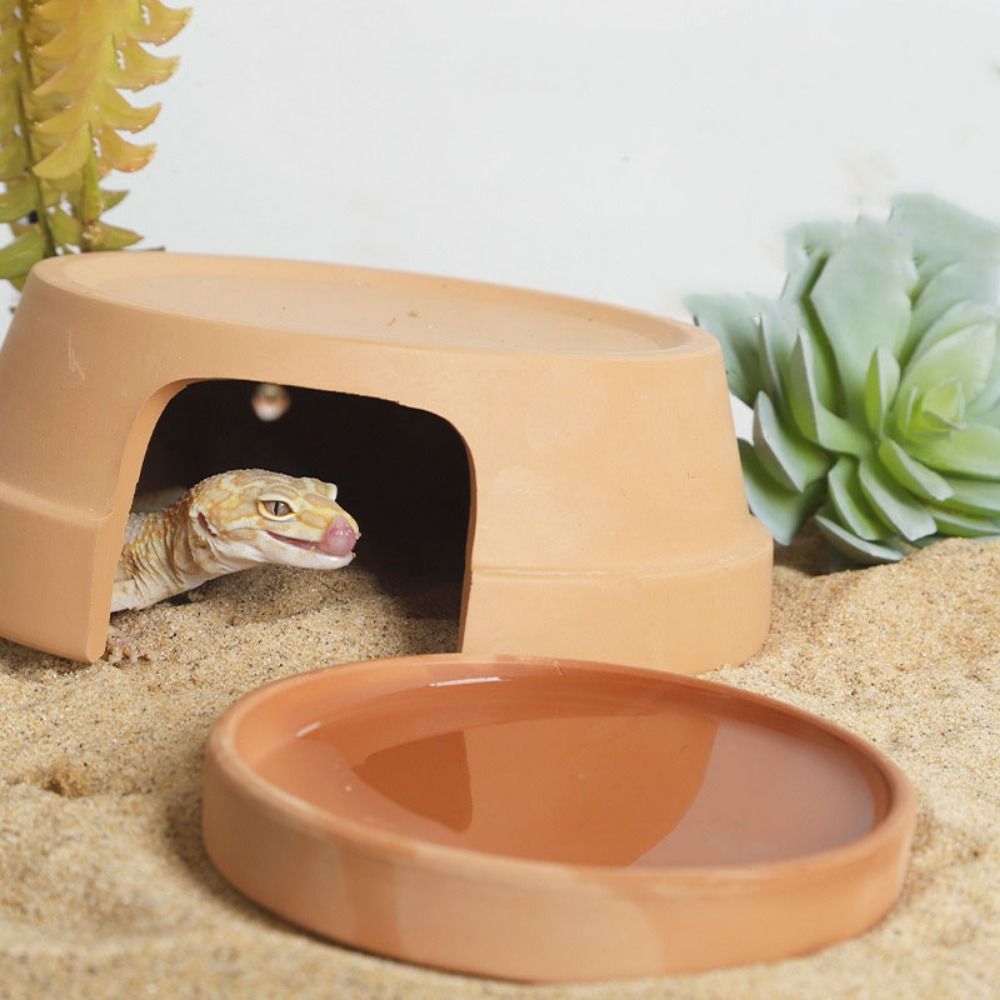 Multifunctional Ceramics Repti - Hide Cave Ceramic recensione e prezzo