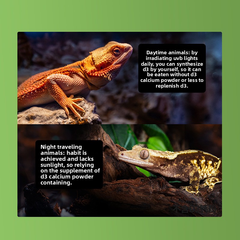 Reptizoo Reptile Calcium Powde - Vitamin D3 Reptile recensione e prezzo