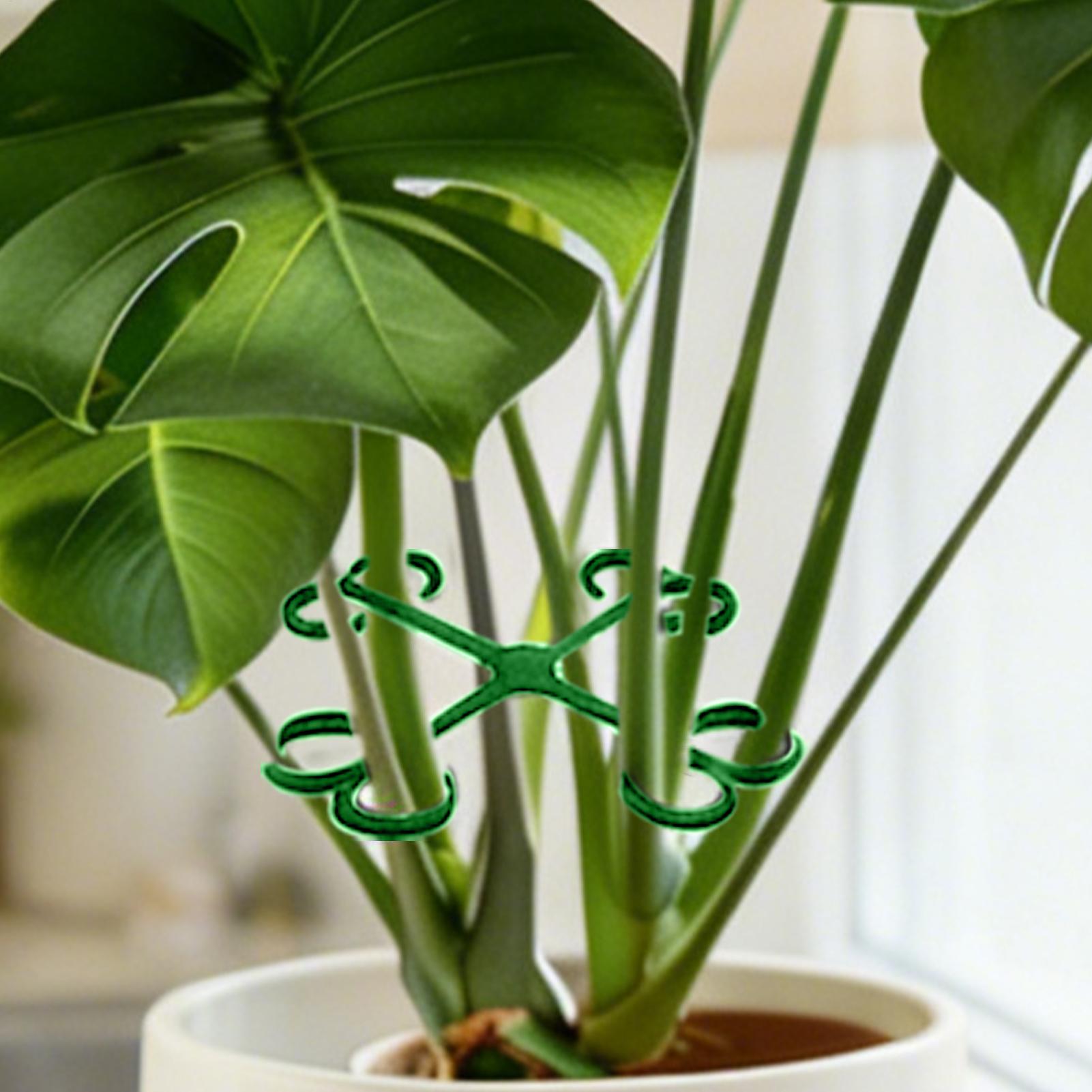 4Pcs Plant Stem Support Clips  - Vine Climbing Plastic recensione e prezzo