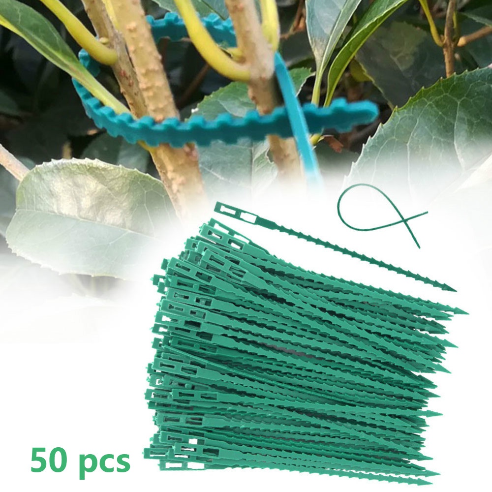 50Pcs Reusable Adjustable Plas - Vine Climbing Plastic recensione e prezzo