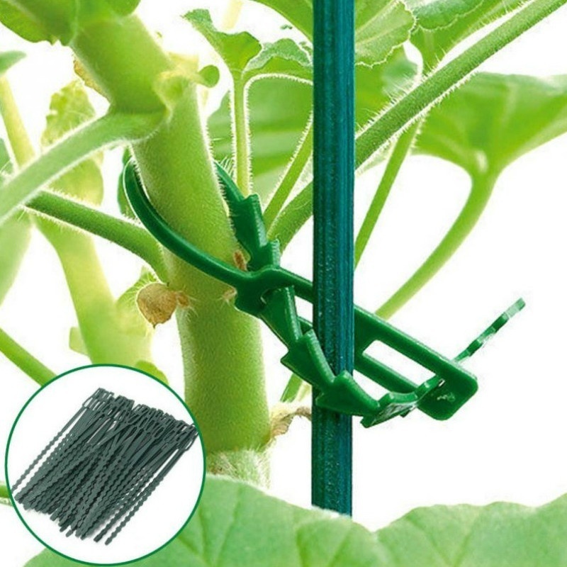 50Pcs Reusable Adjustable Plas - Vine Climbing Plastic recensione e prezzo