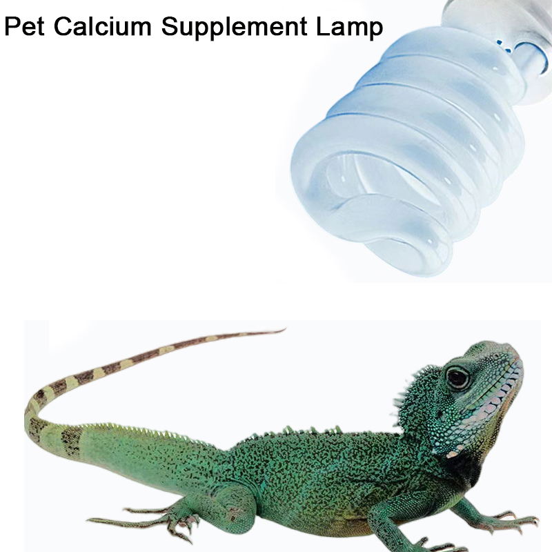 E27 13W/26W Reptile Uvb Lamp   - Calcium Powder Reptile recensione e prezzo