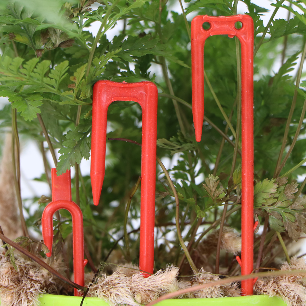 20-50PCS Strawberry Planting F - Vine Climbing Plastic recensione e prezzo