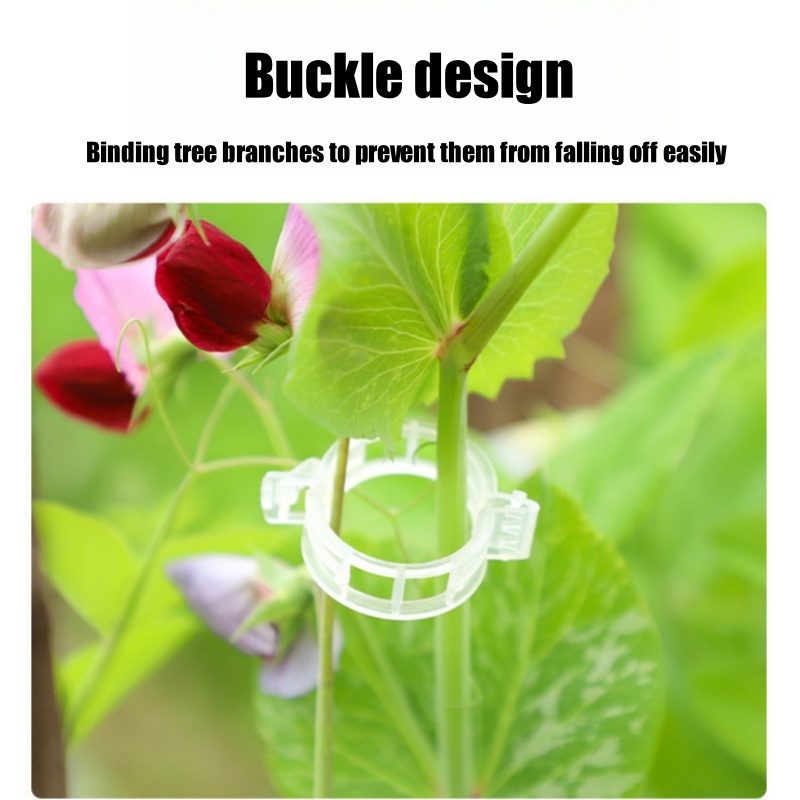 500Pcs Plastic Plant Support C - Vine Climbing Plastic recensione e prezzo