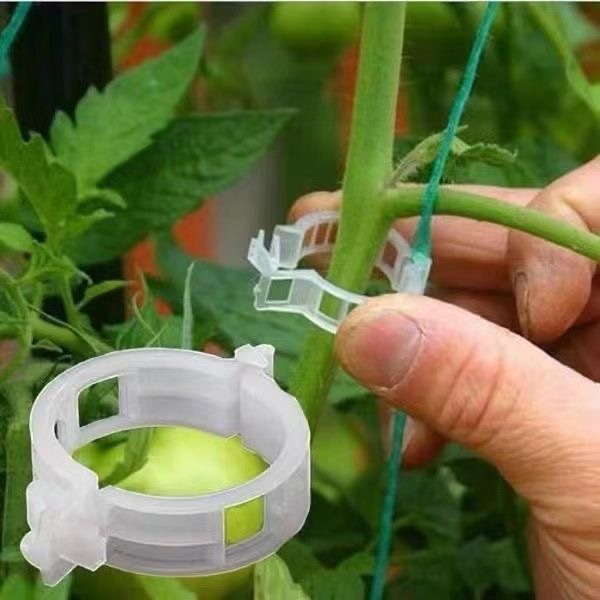 500Pcs Plastic Plant Support C - Vine Climbing Plastic recensione e prezzo