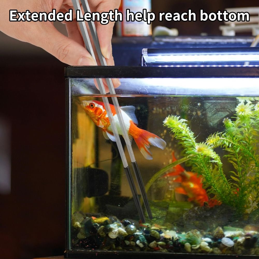 Stainless Steel Aquarium Feedi - Feeding Tong Stainless recensione e prezzo