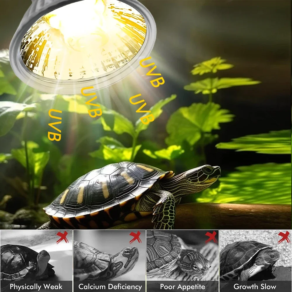 25/50/75W UVB Reptile Lamp Bul - Calcium Powder Reptile recensione e prezzo