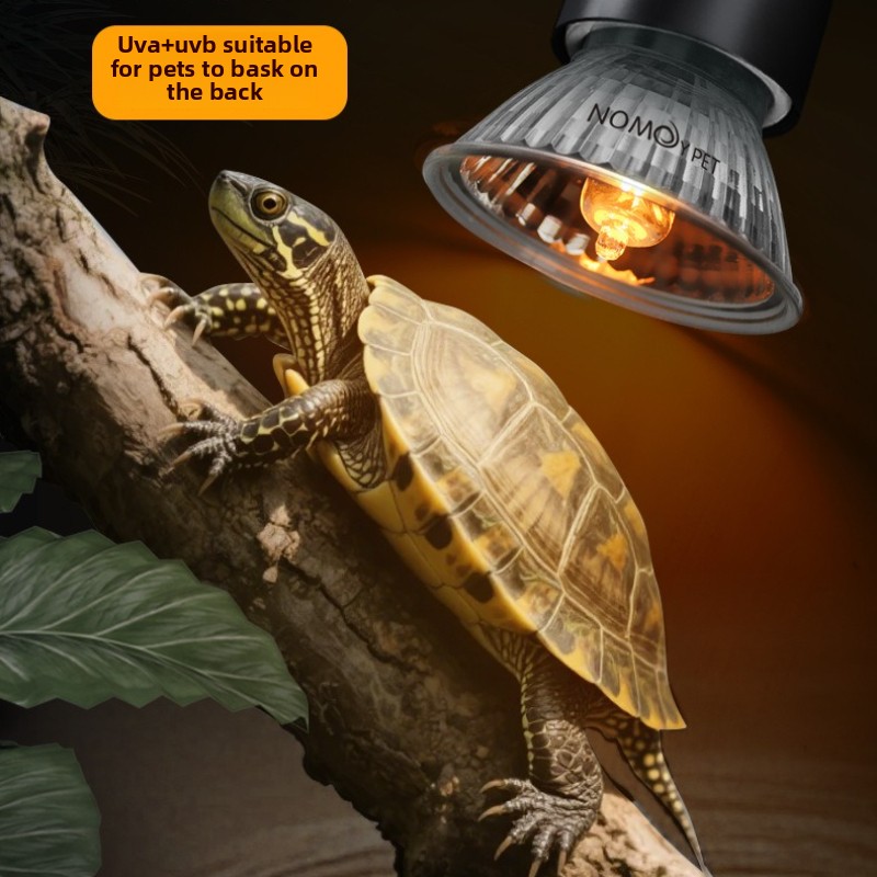 NOMOY 25/50/75w UVB 3.0 Reptil - Vitamin D3 Reptile recensione e prezzo