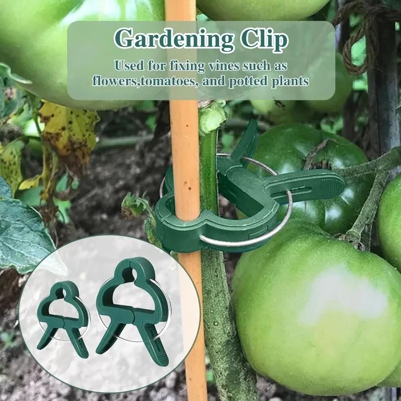 50 Reusable Plant Fixed Clips, - Vine Climbing Plastic recensione e prezzo