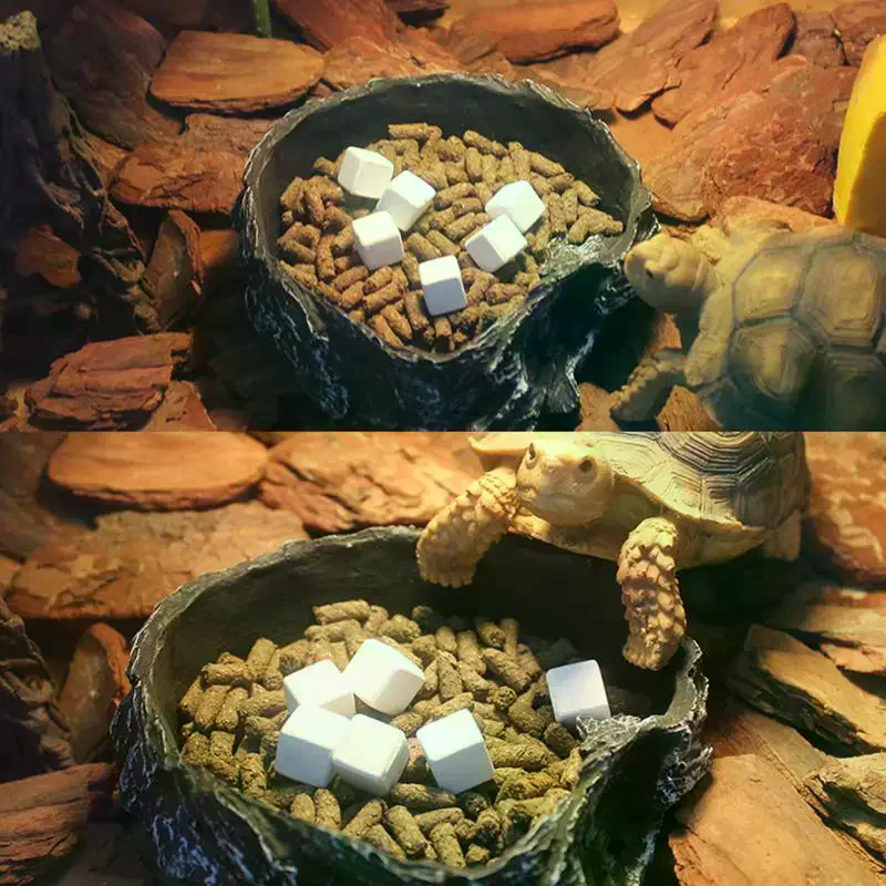 Slow Release Calcium Mineral B - Calcium Powder Reptile recensione e prezzo