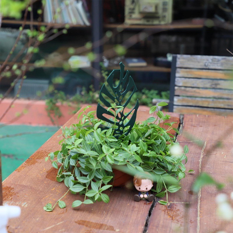 Plant Climbing Support Stand F - Vine Climbing Plastic recensione e prezzo