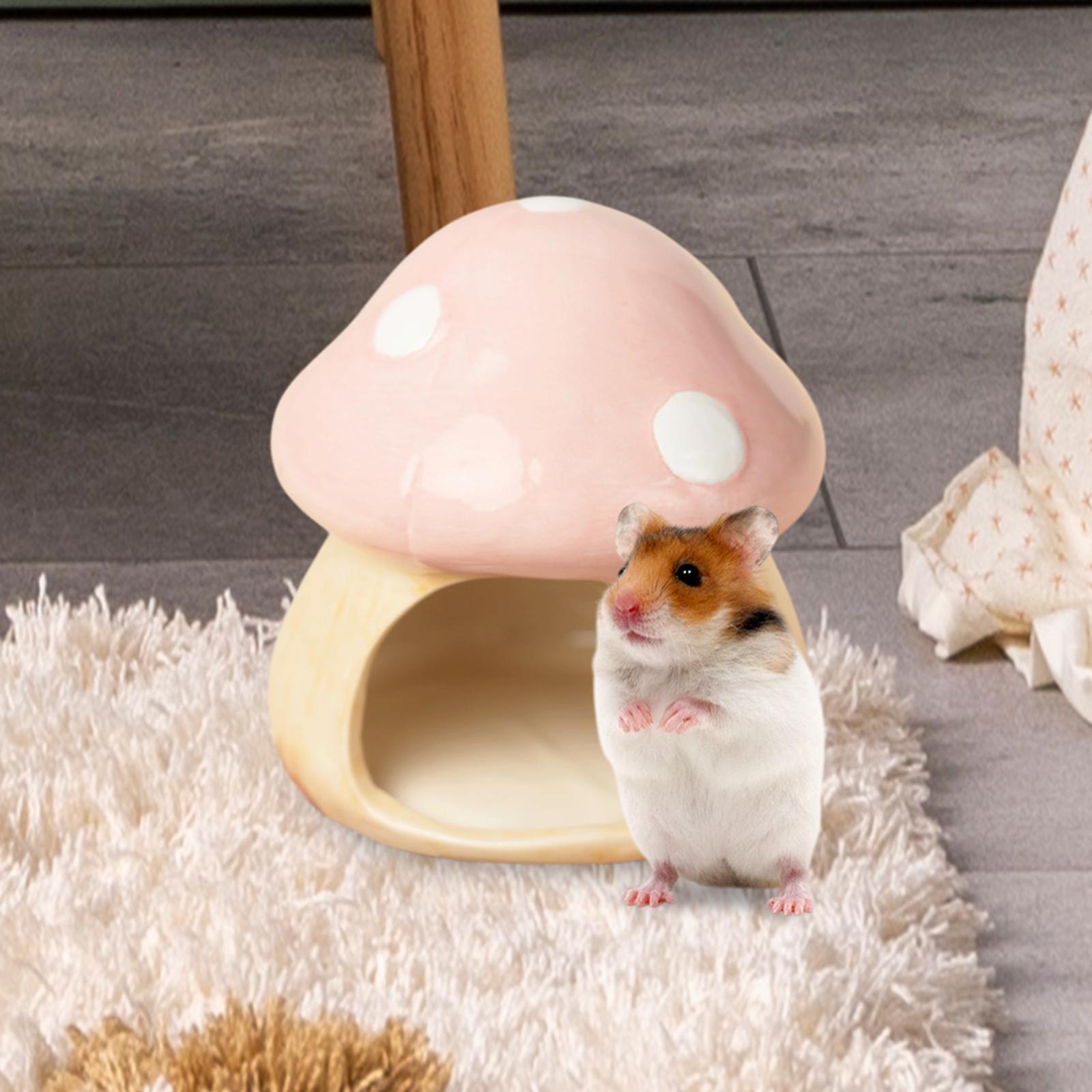 Ceramic Mushroom Hamster Hideo - Hide Cave Ceramic recensione e prezzo